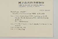 草珊瑚、紅果金粟蘭藏品圖，第2張