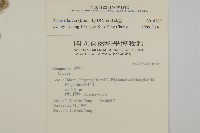 生毛將軍藏品圖，第2張