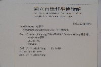 珊瑚樹藏品圖，第2張