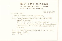 臺灣款冬藏品圖，第2張