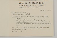 繁縷藏品圖，第2張