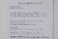 通天蓮藏品圖，第2張