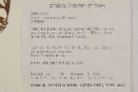 臺灣馬蘭藏品圖，第2張