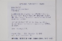 恆春厚殼樹藏品圖，第2張