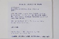 蘿芙木藏品圖，第2張