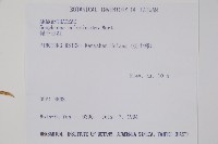 假千日紅藏品圖，第2張