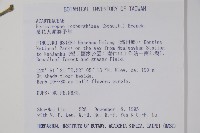 長花九頭獅子草、山藍藏品圖，第2張