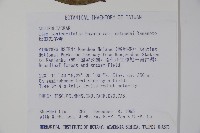 松田氏冬青藏品圖，第2張