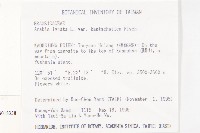 玉山筷子芥藏品圖，第2張