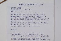 毬蘭藏品圖，第2張