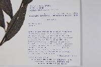 登錄號:S018400藏品圖，第2張