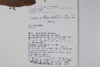 登錄號:S018404藏品圖，第2張