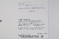 登錄號:S018406藏品圖，第2張