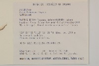 臺灣山白蘭藏品圖，第2張