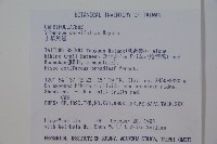 小葉莢迷藏品圖，第2張