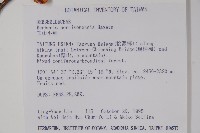 玉山小蘗藏品圖，第2張