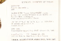 黃菀藏品圖，第2張