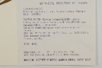 長萼瞿麥藏品圖，第2張