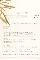 玉山飛蓬藏品圖，第2張