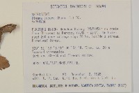 生毛將軍藏品圖，第2張