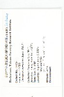 山紅柿藏品圖，第4張