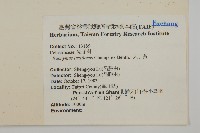 大丁黃藏品圖，第2張