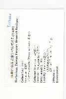 軟毛柿藏品圖，第2張