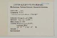 淡綠葉衛矛藏品圖，第2張