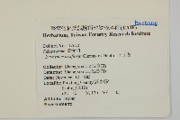 大丁黃藏品圖，第2張