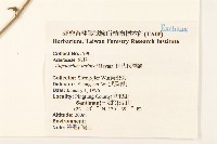 田代氏澤蘭藏品圖，第2張