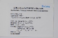 槍刀菜藏品圖，第5張