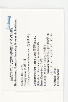 大橋胡頹子、蓬萊胡頹子藏品圖，第2張