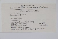 川黔千金榆藏品圖，第2張