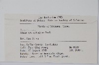 榿木藏品圖，第2張