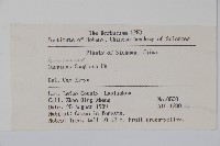 川黔千金榆藏品圖，第2張