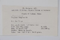 川黔千金榆藏品圖，第2張