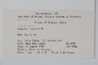 川黔千金榆藏品圖，第2張