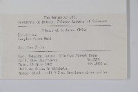 刺榛藏品圖，第2張