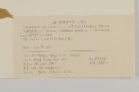 疏花繁縷藏品圖，第2張