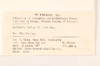 馬蘭藏品圖，第2張