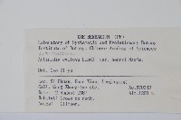 京梨獼猴桃藏品圖，第2張