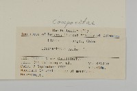 燈豎朽藏品圖，第2張