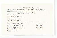 碎米薺藏品圖，第2張