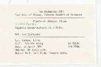 薺藏品圖，第2張