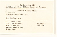 蜂斗菜、蛇頭菜藏品圖，第2張