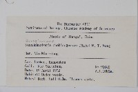 浙贛車前紫草藏品圖，第2張