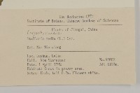 繁縷藏品圖，第2張