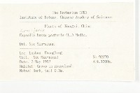 薺藏品圖，第2張