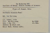 中國繁縷藏品圖，第2張