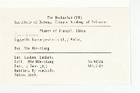 薺藏品圖，第2張